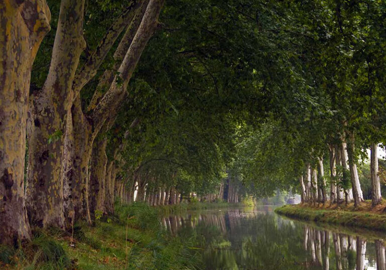 canal du midi vias