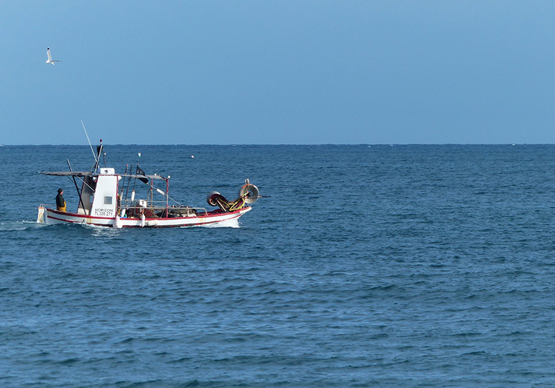 peche en mer agde