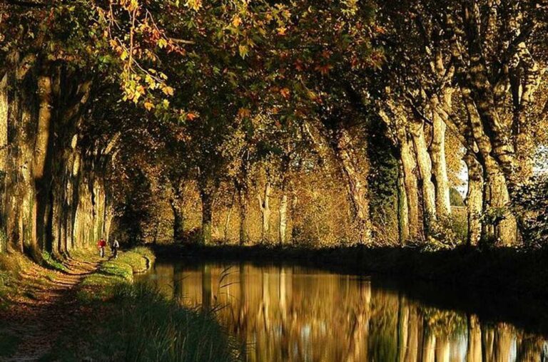 Vacances et tourisme Sérignan que voir et faire à Sérignan Vacances et tourisme Sérignan que voir et faire à Sérignan