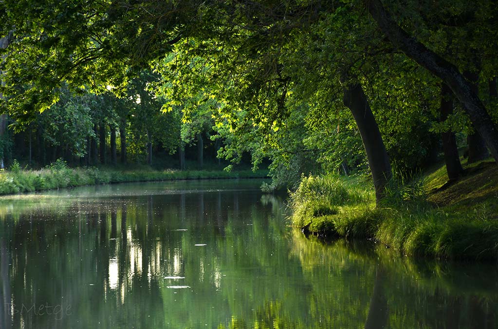 canal du midi dans l'herault