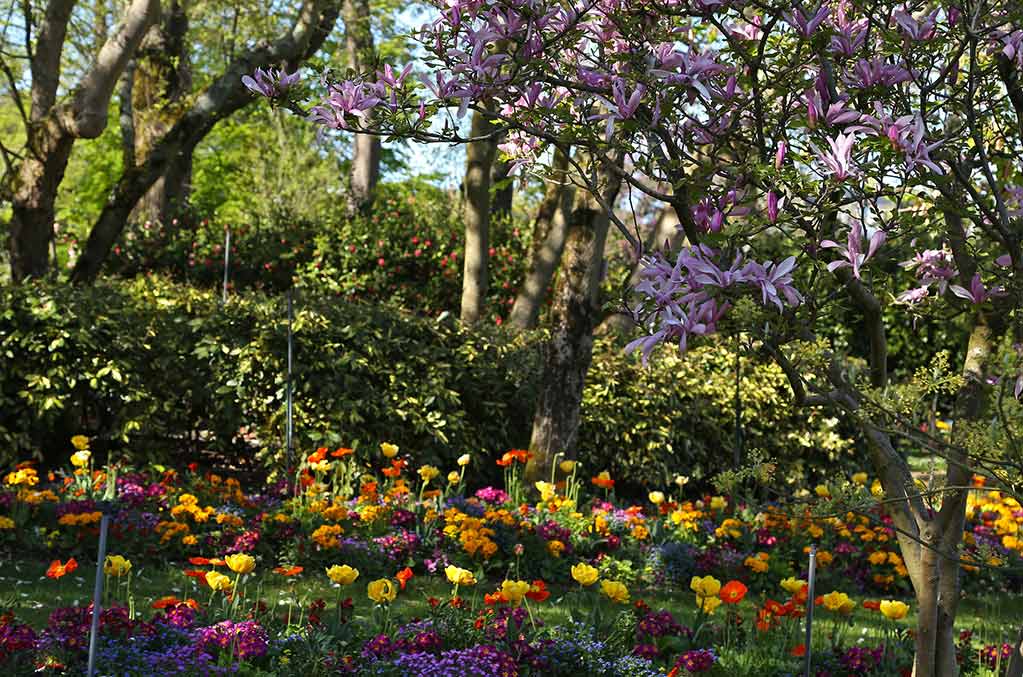 jardin des plantes montpellier