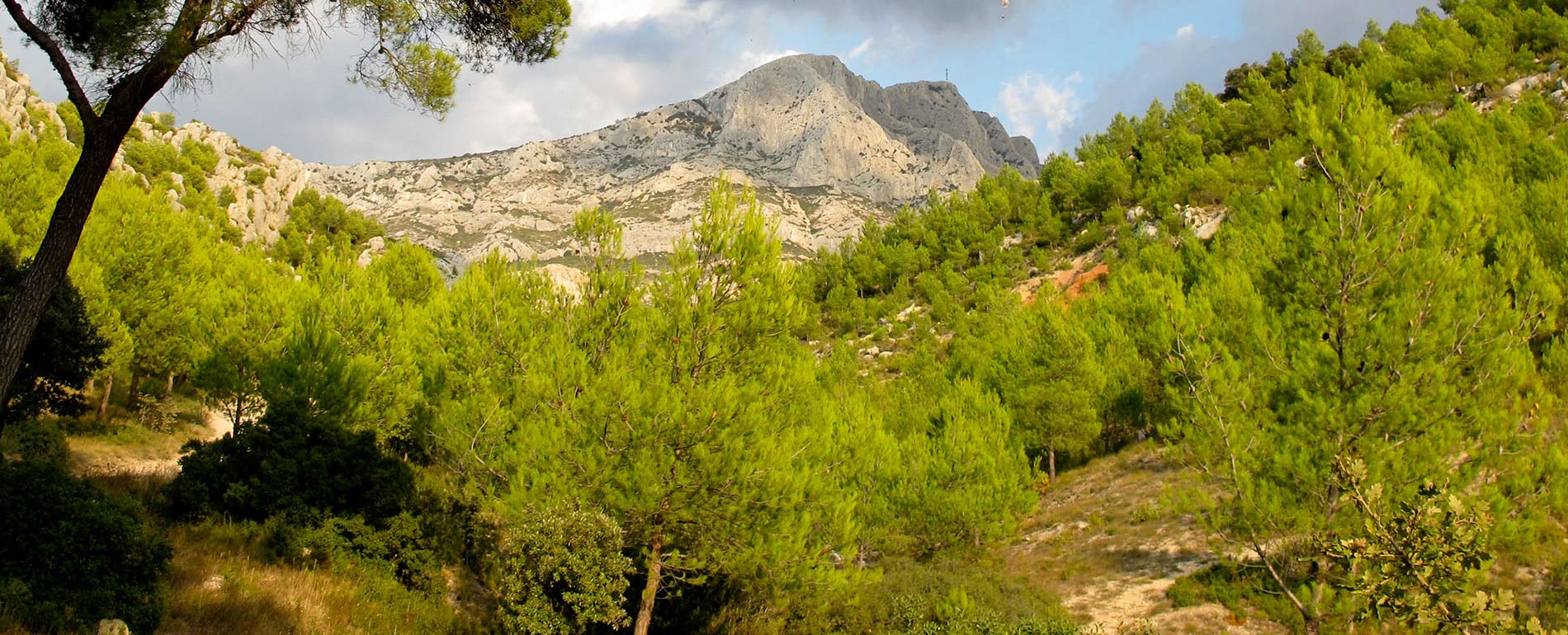 tourisme volcan roque haute