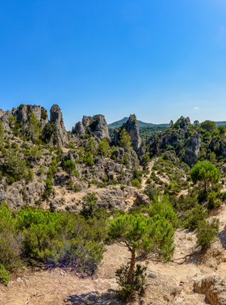 visiter cirque moureze