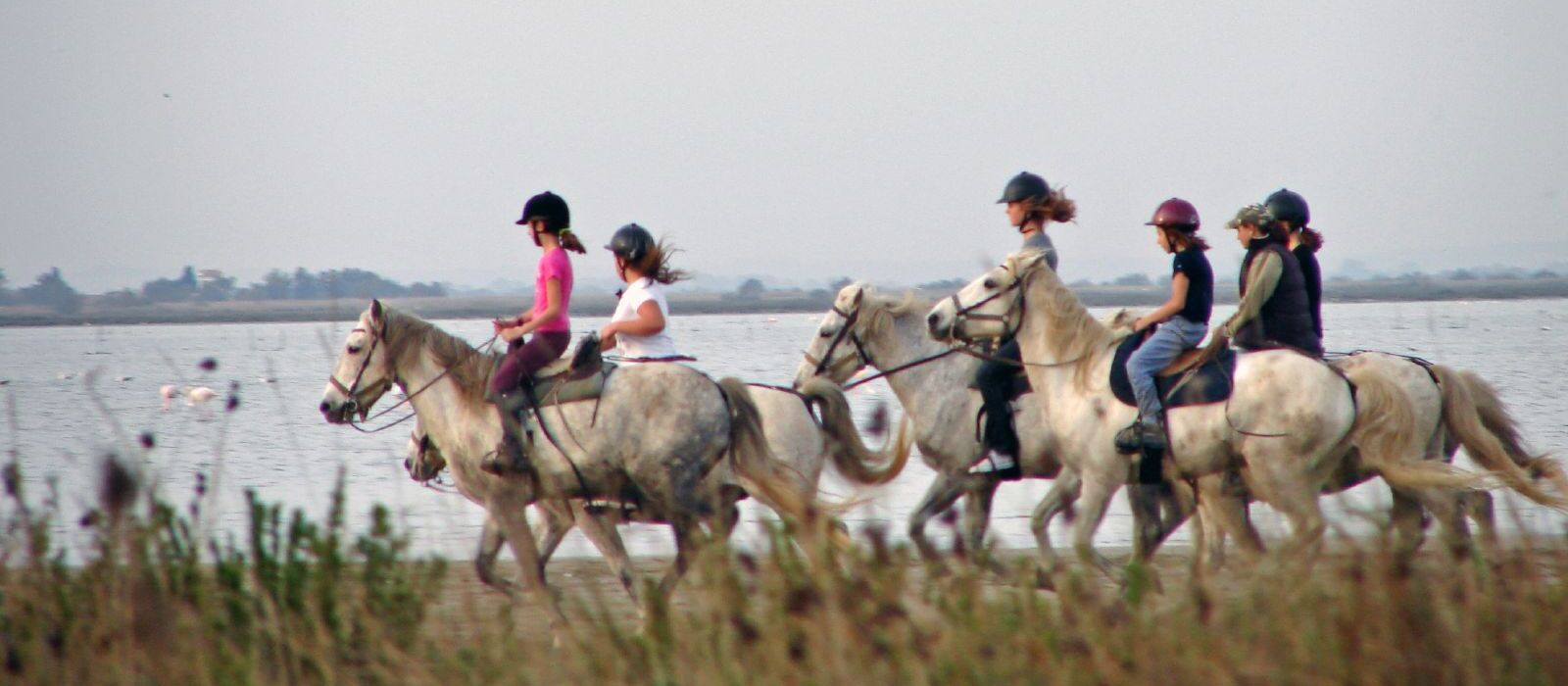 Balade à cheval Cap d'Agde