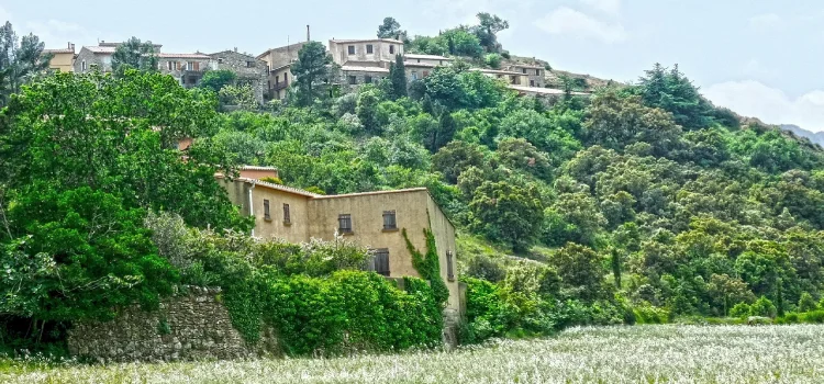 Parc Naturel Régional du Haut-Languedoc