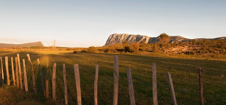  Parc Naturel Régional du Haut-Languedoc
