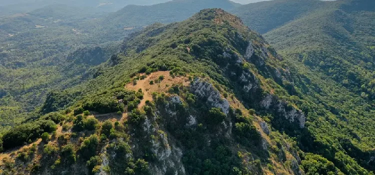 réserve naturelle de Roque-Haute (1)
